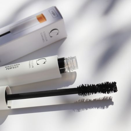 Mascara Perfect Mascara Perfect