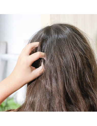 Shampoing solide - Des p'tites têtes Shampoing solide - Des p'tites têtes