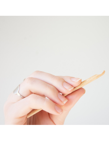 Oriculi en bois Oriculi en bois