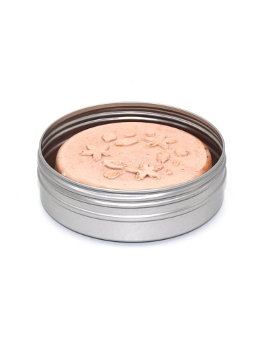 Boîte de transport la Baroudeuse