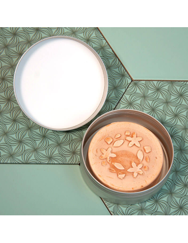 Boîte de transport la Baroudeuse