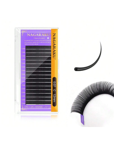 Extension de cils à cils de vision