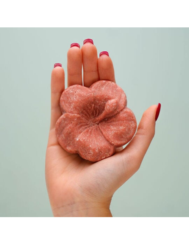 Shampooing solide à l'hibiscus