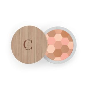 Poudre mosaïque - teint clair n° 232
