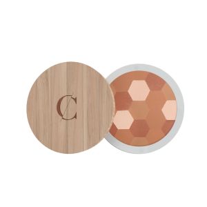 Poudre mosaïque - teint mat n° 233 