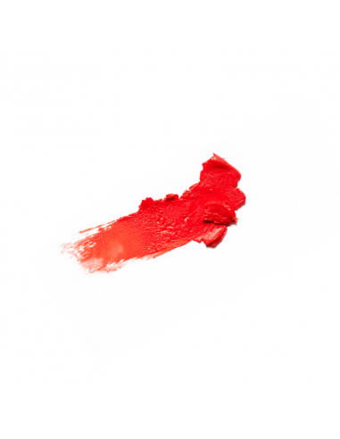 Rouge à lèvres fini brillant