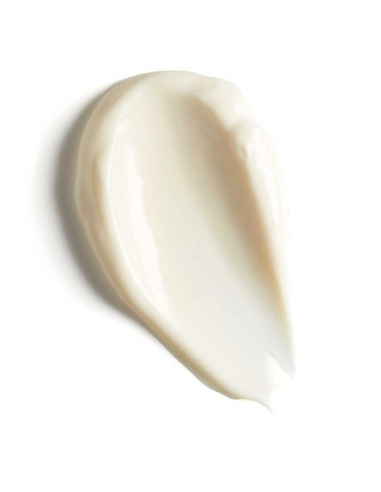 Hydrate Night Cream Hydrate Night Cream