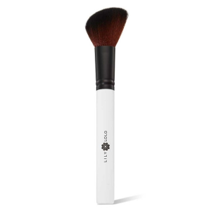 Brush - Pinceaux - Blush Brush