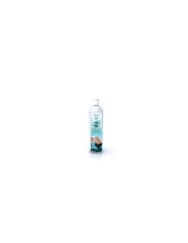 Velours de SPA