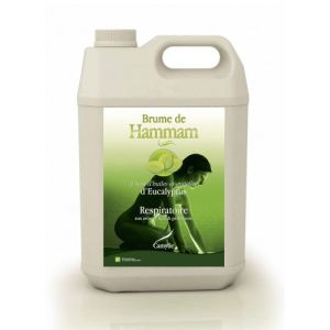 Brume de Hammam