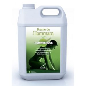 Brume de Hammam