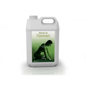 Brume de Hammam