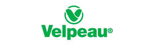 Velpeau